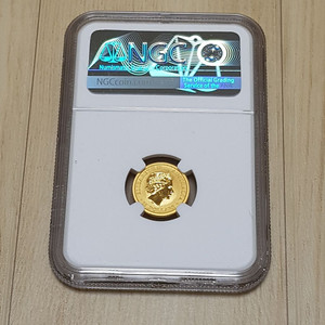 NGC 1/10oz gold 인증금화(금3.1g)