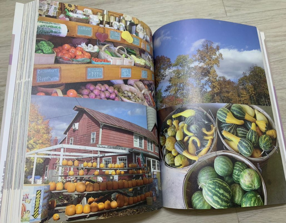 접시에 뉴욕을 담다 책--1