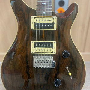 급매 PRS SE24