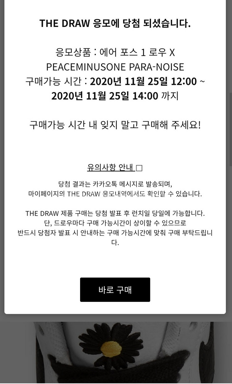 [255] 나이키 피스마이너스 파라노이즈 2.0--3