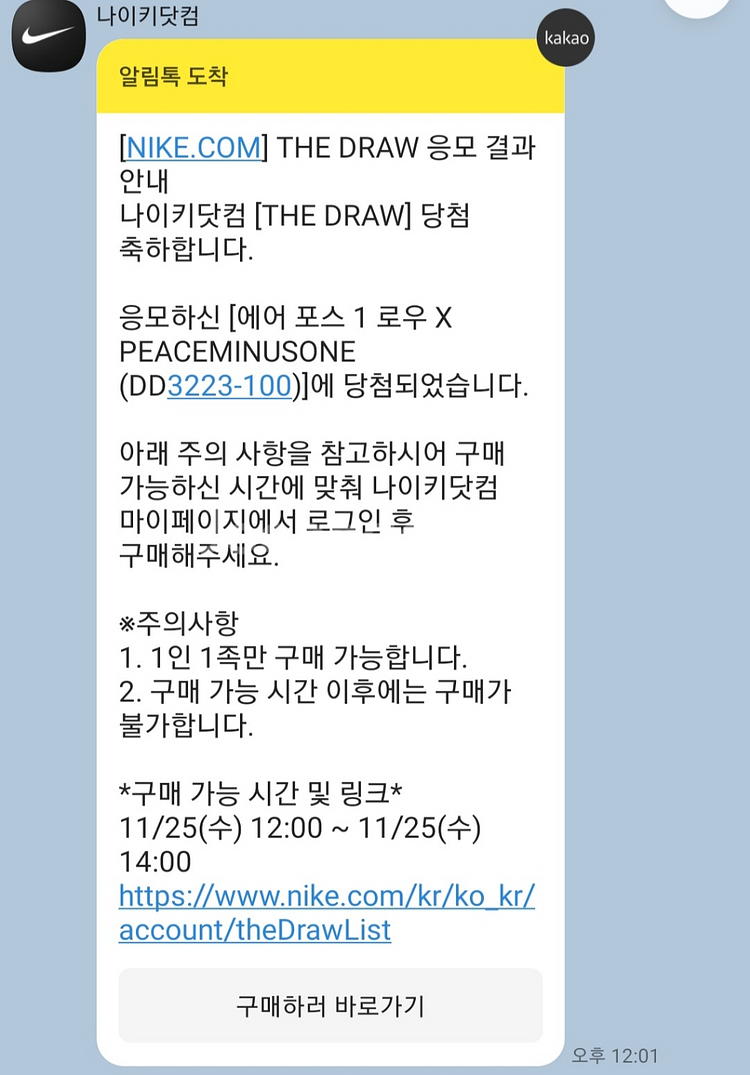 [255] 나이키 피스마이너스 파라노이즈 2.0--2