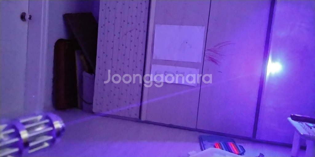 강력레이져광선 셋트(유튜브 윽박이레이져 수입품)--2