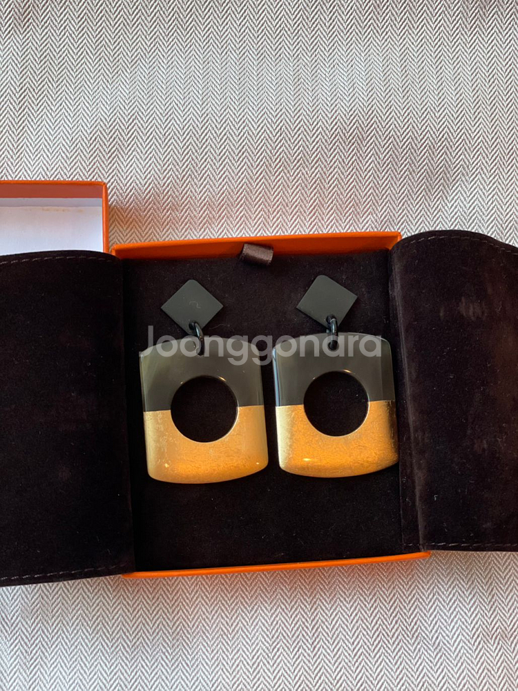 에르메스호른 귀걸이--2