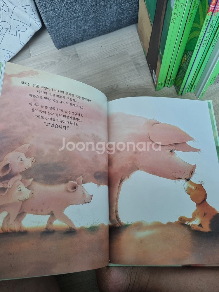 탄탄곰돌아안녕--1