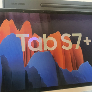 갤럭시탭s7+ 256기가 lte
