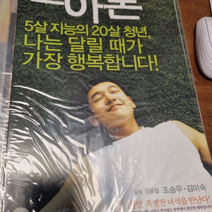 안전 조승우 필모 말아톤, 도마뱀 전단 일괄판매