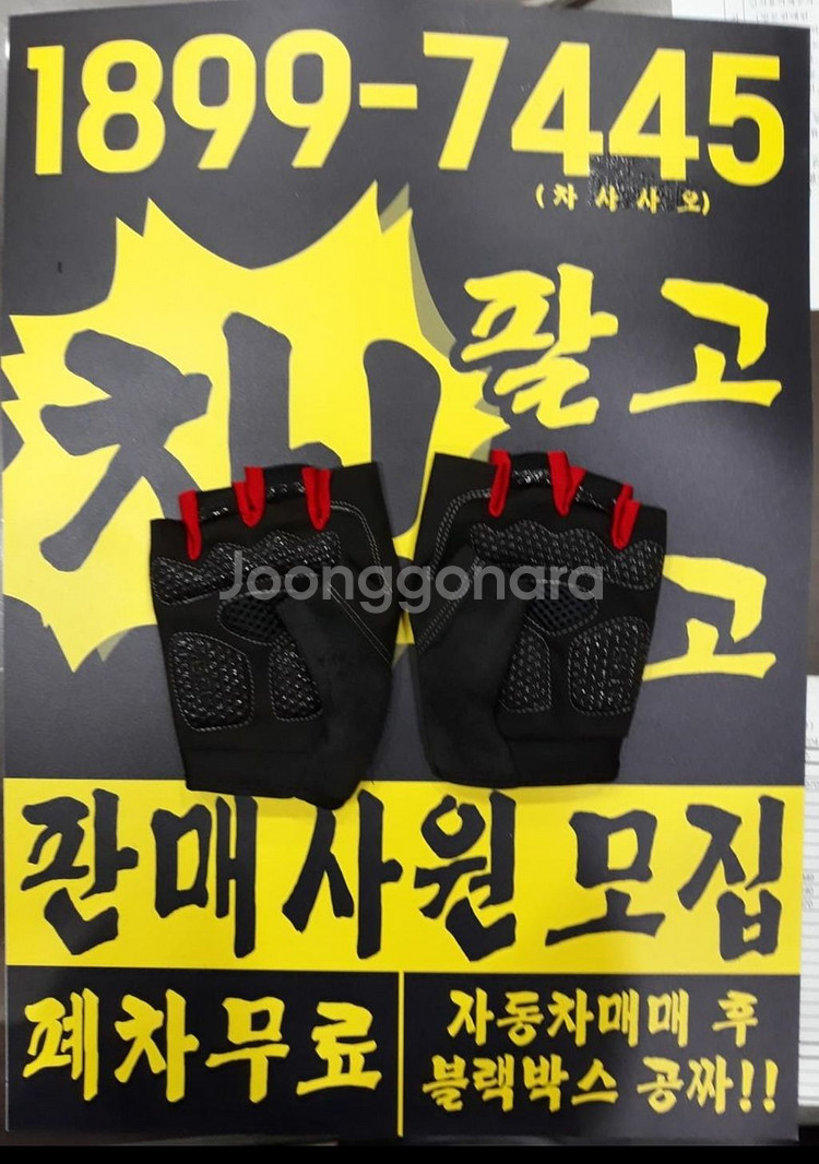 자전거 라이딩(스포츠), 등산, 낚시, 장갑 신품 판매--1