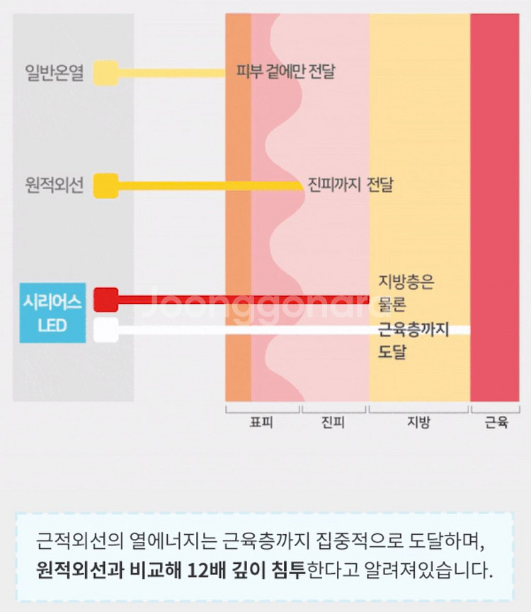 시리어스 LED 프로 근적외선 온열 찜질 벨트--3