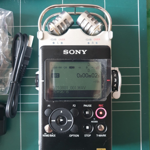 Sony PCM-D100(거래완료)