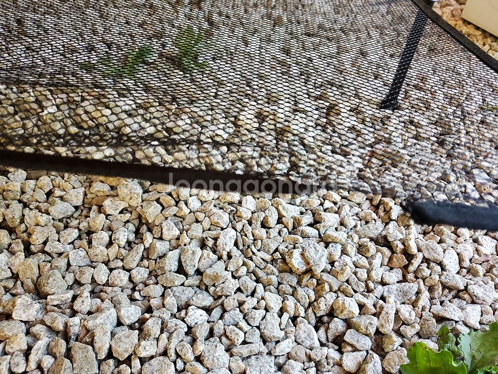 스노우라인 큐브 시스템 테이블 블랙 캠핑--8