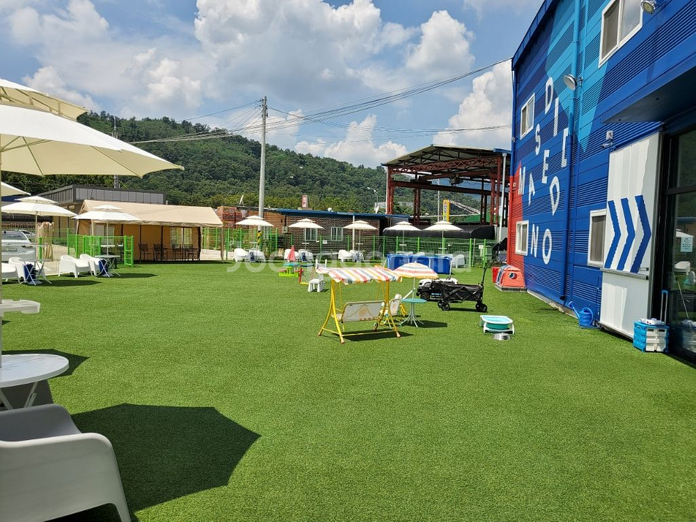 친환경 인조잔디 애견카페 010 3711 7487--1