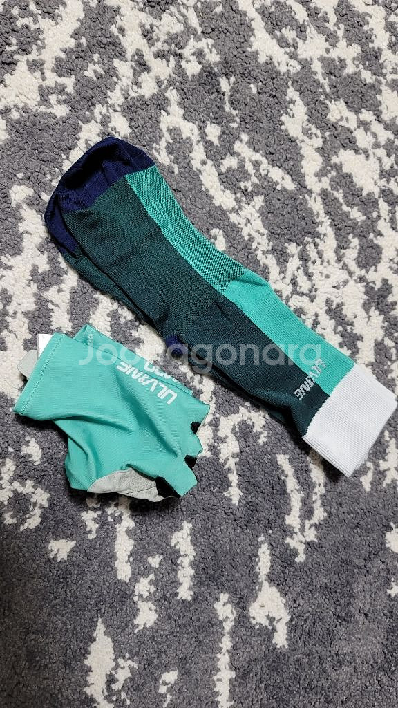 자전거 저지 빈텔로--2