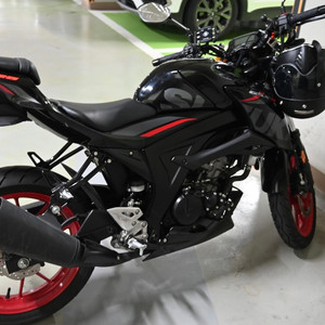 스즈키gsx-s125