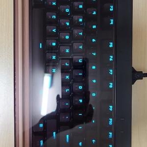 로지텍 G PRO X 동봉 한정판 키보드루프 팝니다