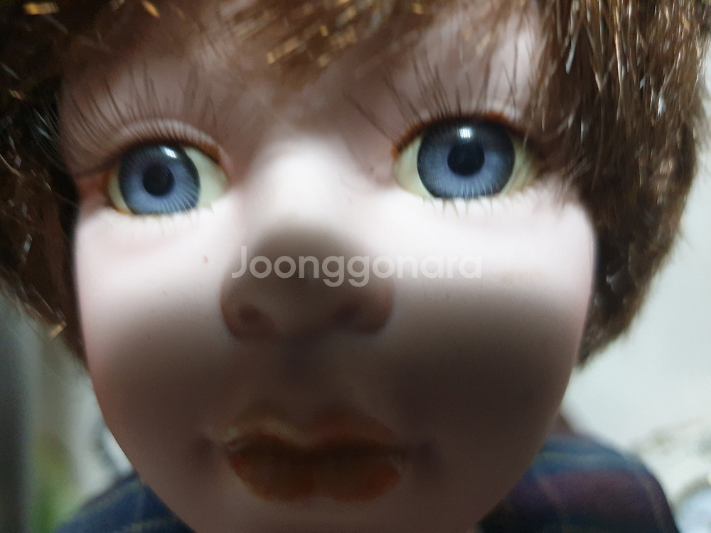 유럽에서 사온 인형--2