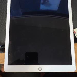 아이패드 프로 2세대 12.9인치 + 애플펜슬 1세대