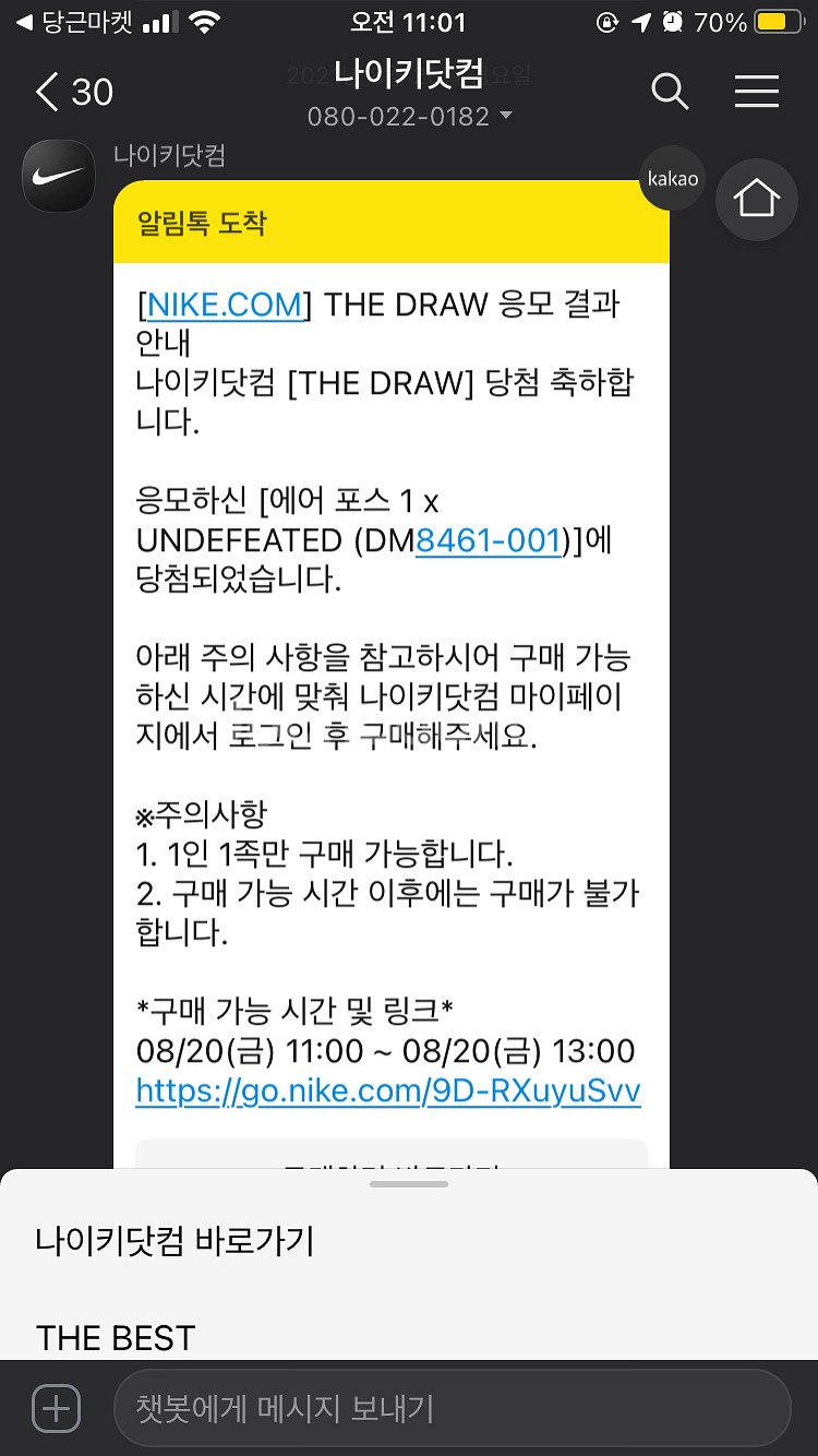 (275) 나이키 언디핏 에어포스1--1