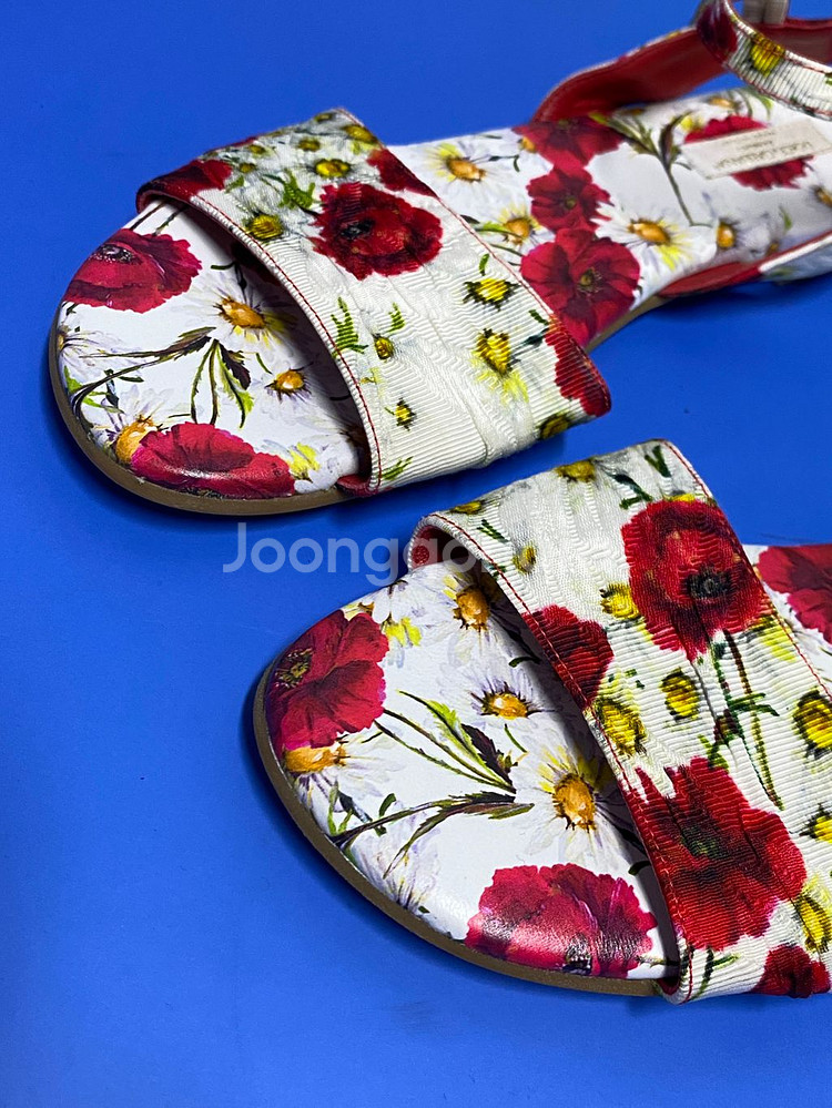 돌체앤가바나--1