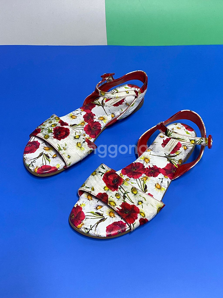 돌체앤가바나--0