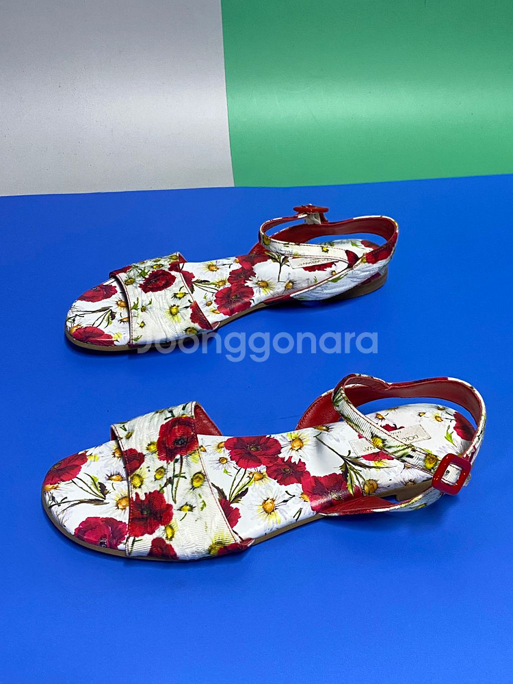 돌체앤가바나--2