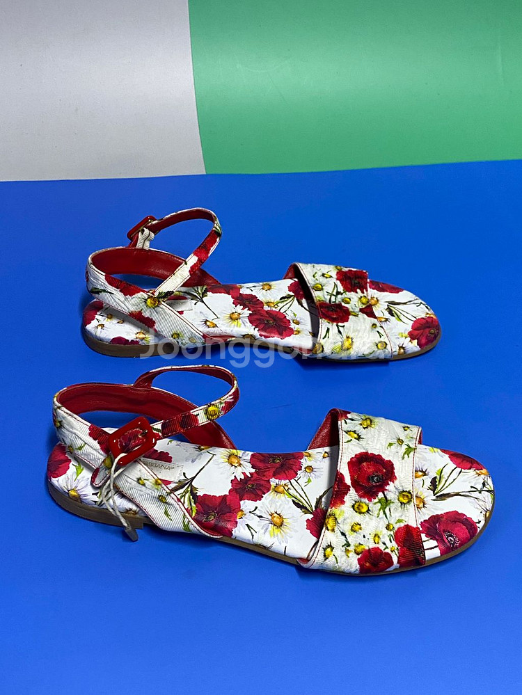 돌체앤가바나--5