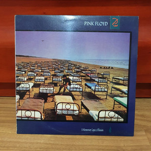 Pink Floyd, A momentary Lapse~