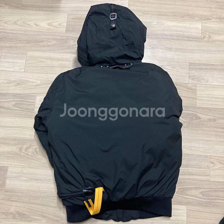 파라점퍼스 고비--1
