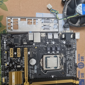 intel e3-1230v3,asus b85m g