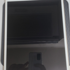 아이패드 프로 2세대 10.5 셀룰러 64gb골드