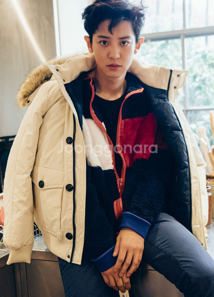 타미 힐피거 남성 구스 다운 s(95~100)새상품--5