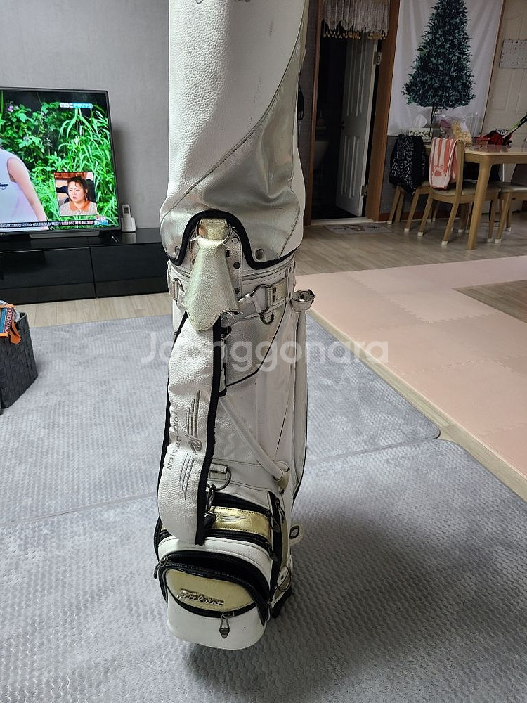 타이틀리스트 골프백 팝니다--1