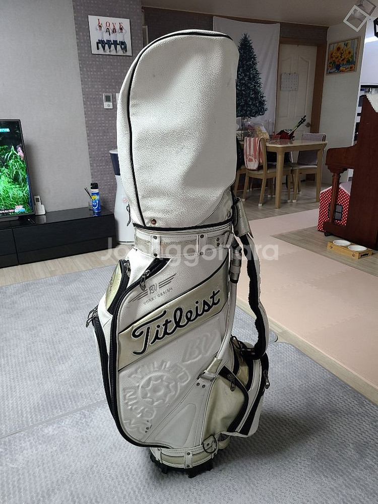 타이틀리스트 골프백 팝니다--0