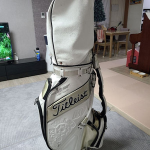 타이틀리스트 골프백 팝니다
