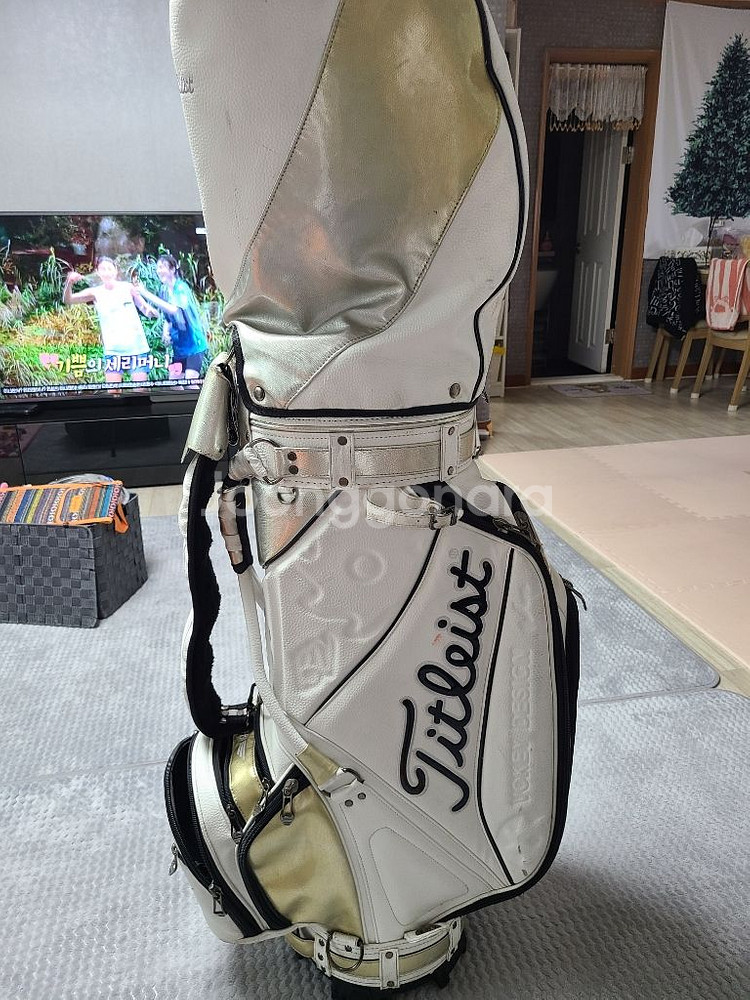 타이틀리스트 골프백 팝니다--5