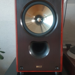 kef xq20 북셀프 스피커