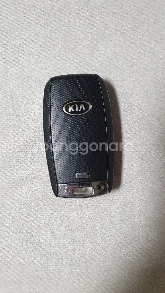 올뉴더뉴카니발 스마트키--1