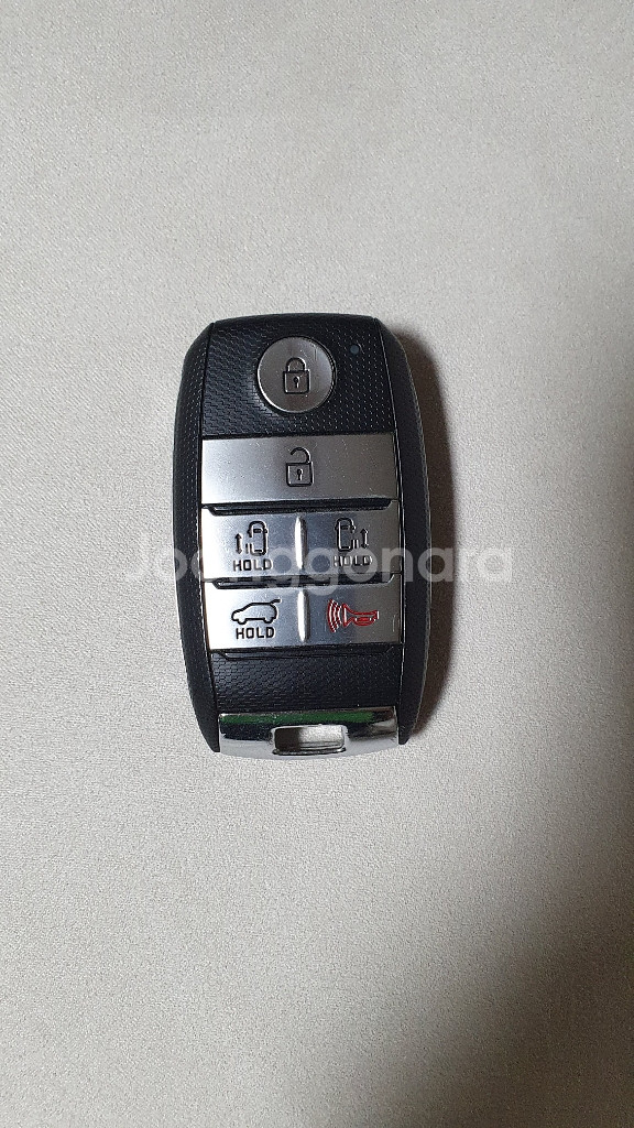 올뉴더뉴카니발 스마트키--0