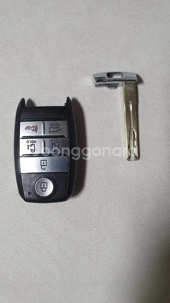 올뉴더뉴카니발 스마트키--2