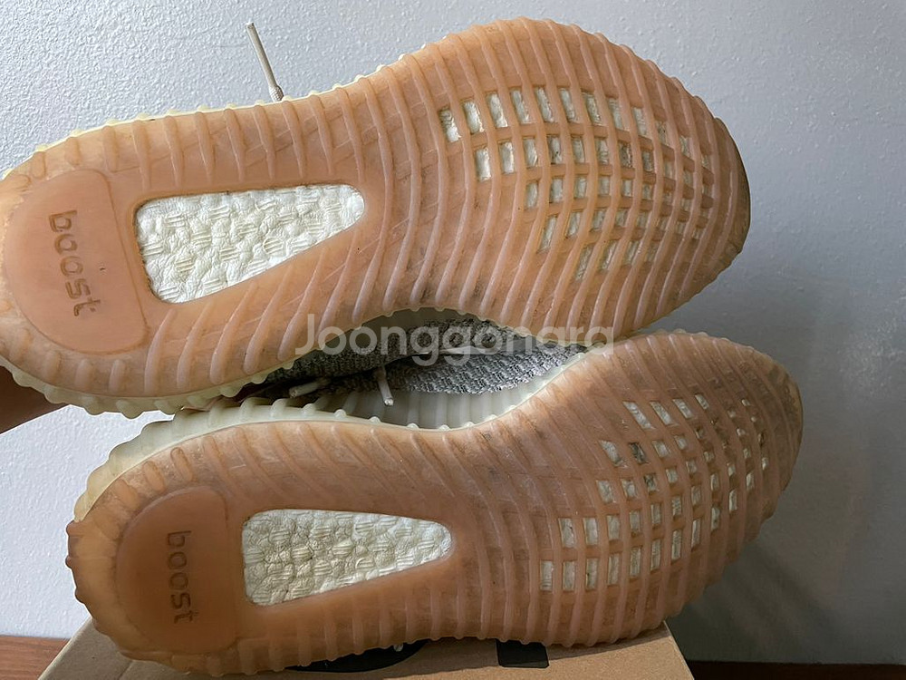 이지부스트350v2 시트린(265)--5