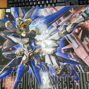 MG strike freedom gundam 프라모델