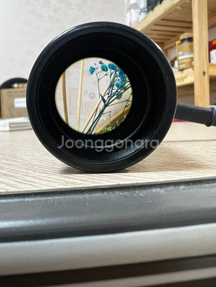 부쉬넬 스코프--4