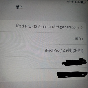 아이패드 프로 3세대 12.9 셀룰러 64GB