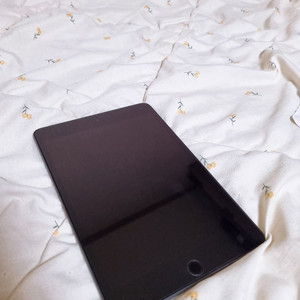 아이패드 미니5 64g 셀룰러 애플케어O