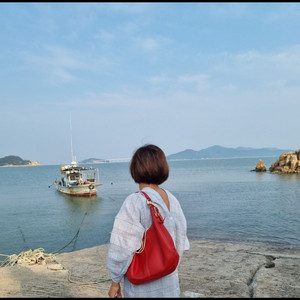 프라다 숄더 호보백