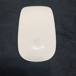 애플 매직 마우스