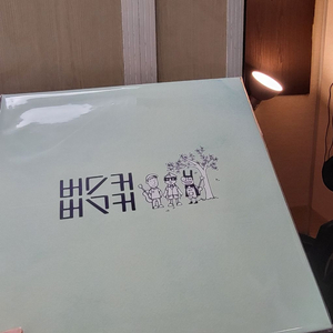 버스커버스커 lp