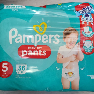 팸퍼스 베이비드라이 팬티기저귀 5단계