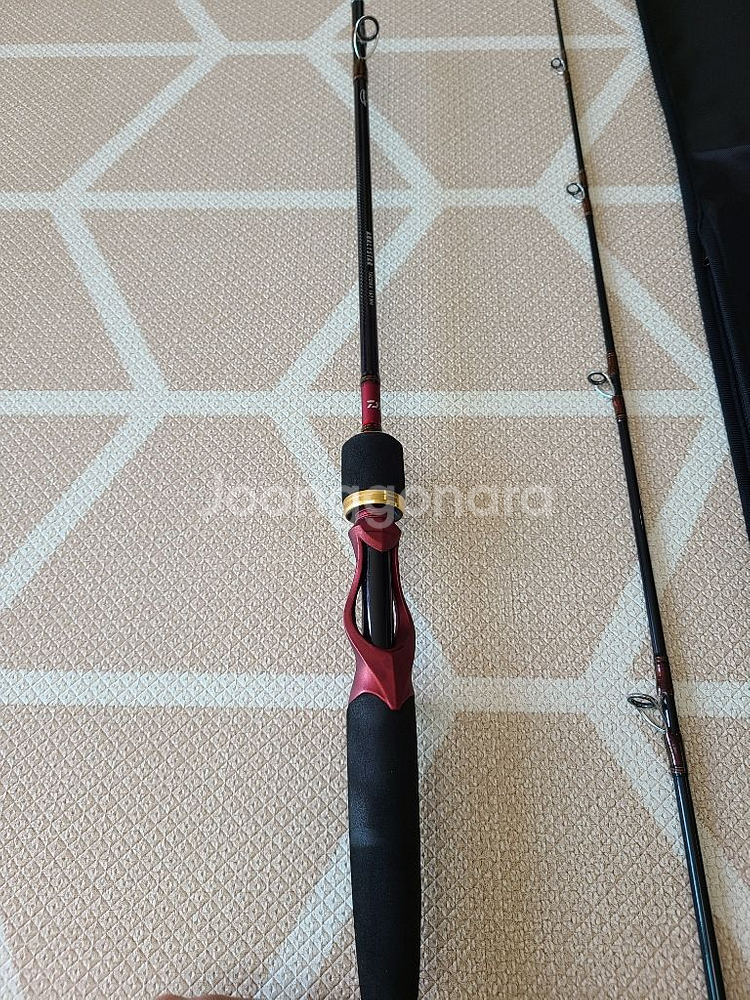 다이와 아날리스타 타코이카 180MH--3