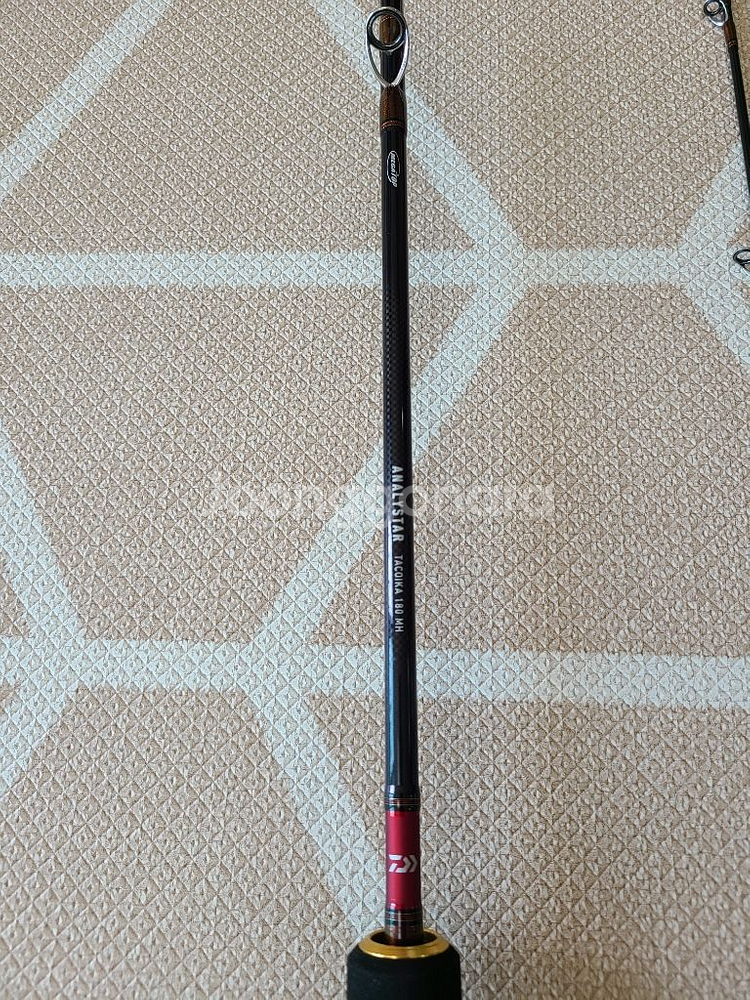 다이와 아날리스타 타코이카 180MH--2