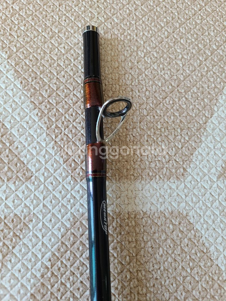 다이와 아날리스타 타코이카 180MH--5